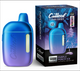 5 Gram 2.0 Ice Rechargeable 5000MG